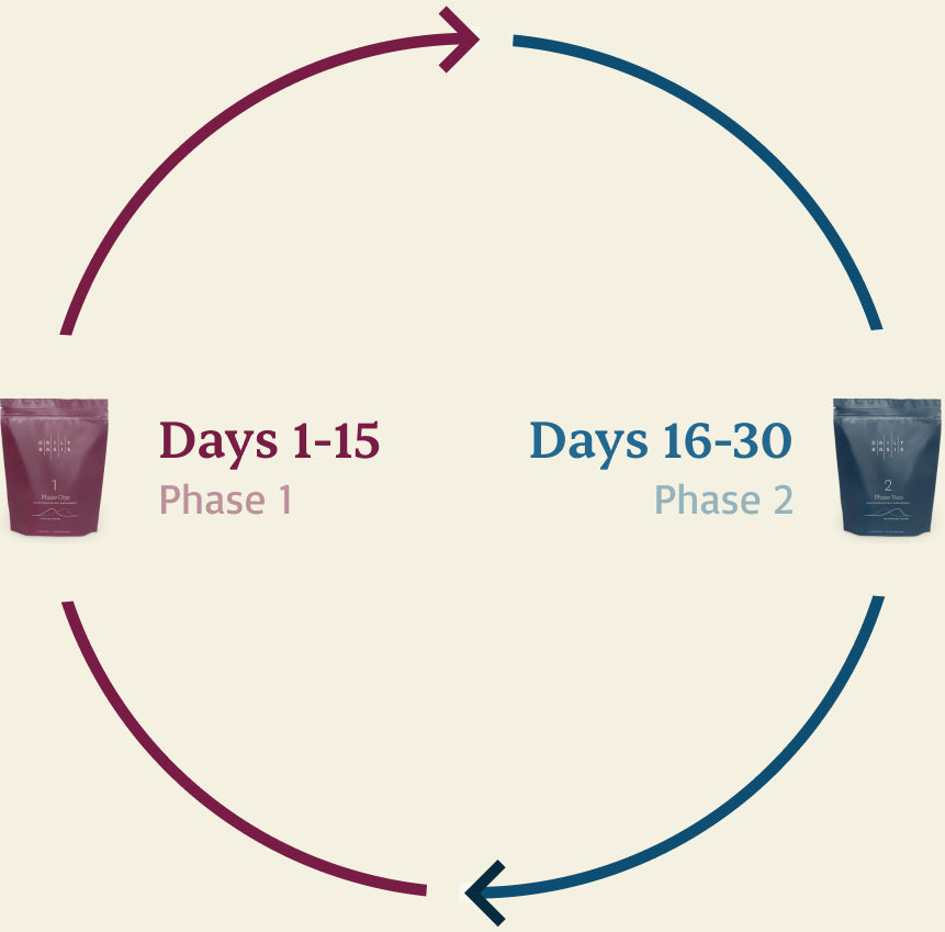 Cycle graphic of phase 1 and phase 2 of the menstrual cycle